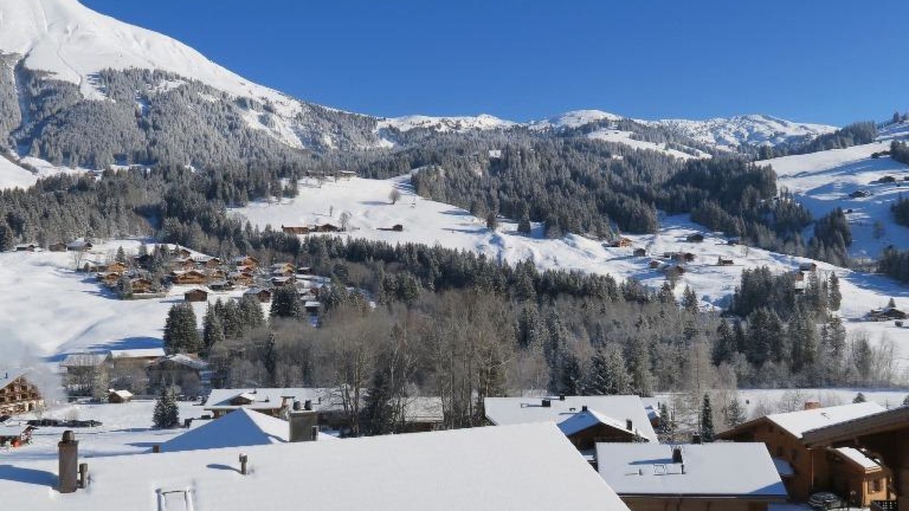 Photo of Others in Lauenen