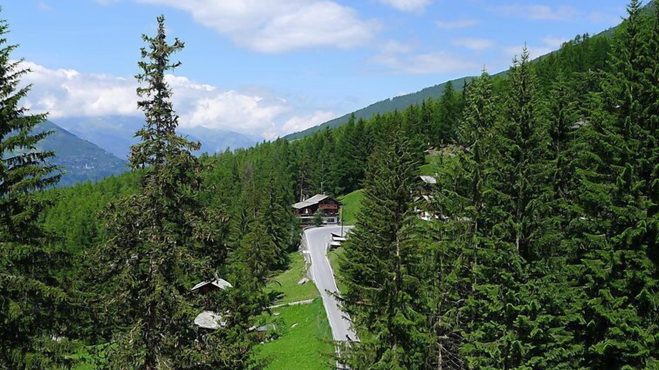 Photo of Others in Gasenried