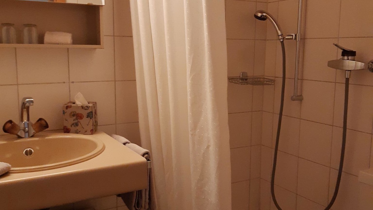 Photo of Bathroom in Lenk