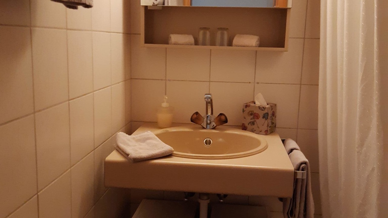 Photo of Bathroom in Lenk