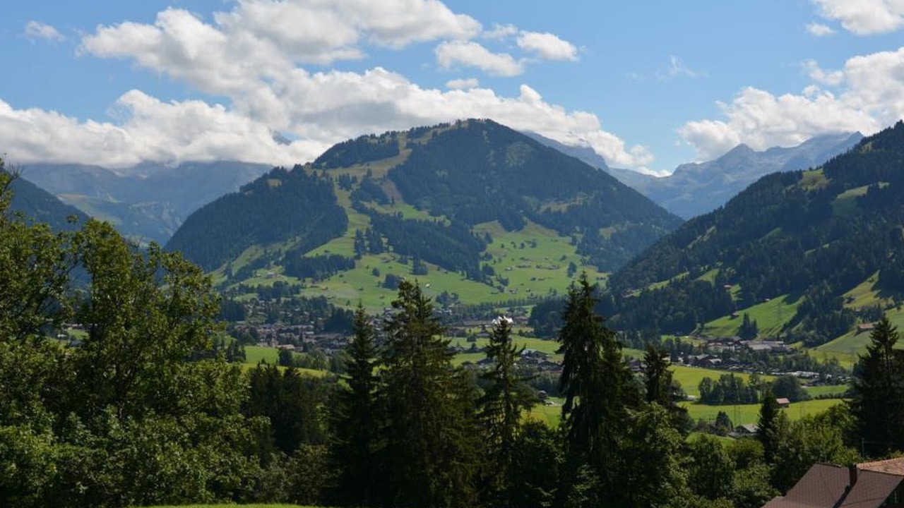 Photo of Others in Saanen