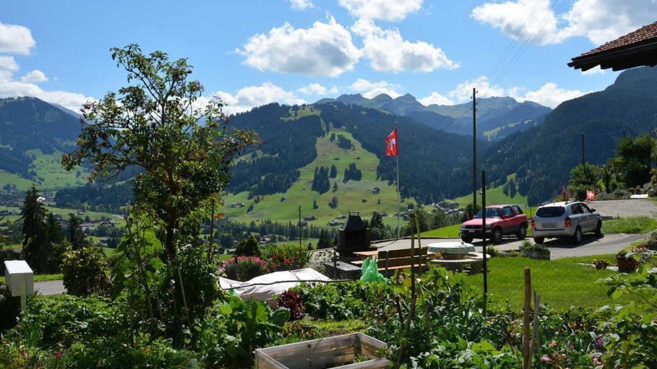 Photo of Outdoor in Saanen