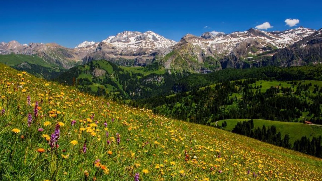 Photo of Others in Lenk