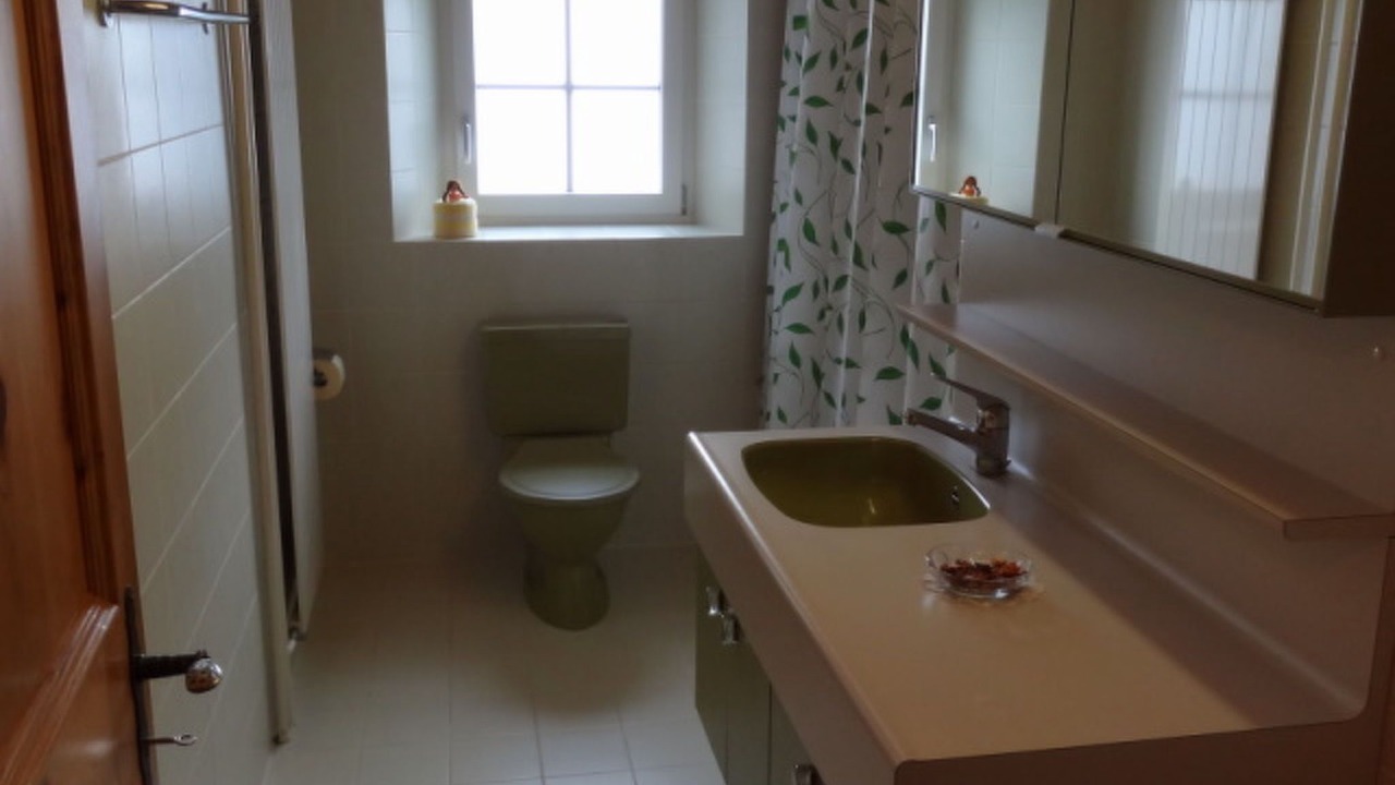 Photo of Bathroom in Engadin Scoul