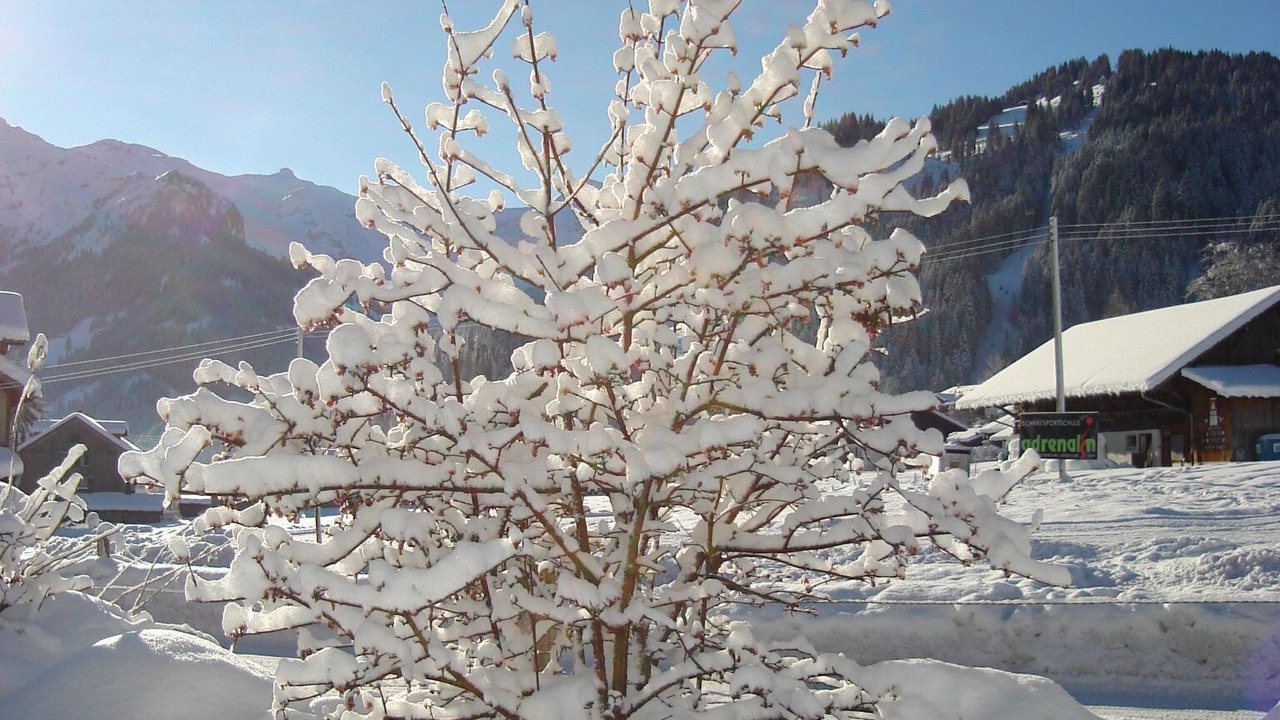 Photo of Others in Lenk