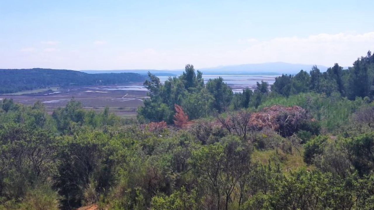 Photo of Others in Narbonne-Plage