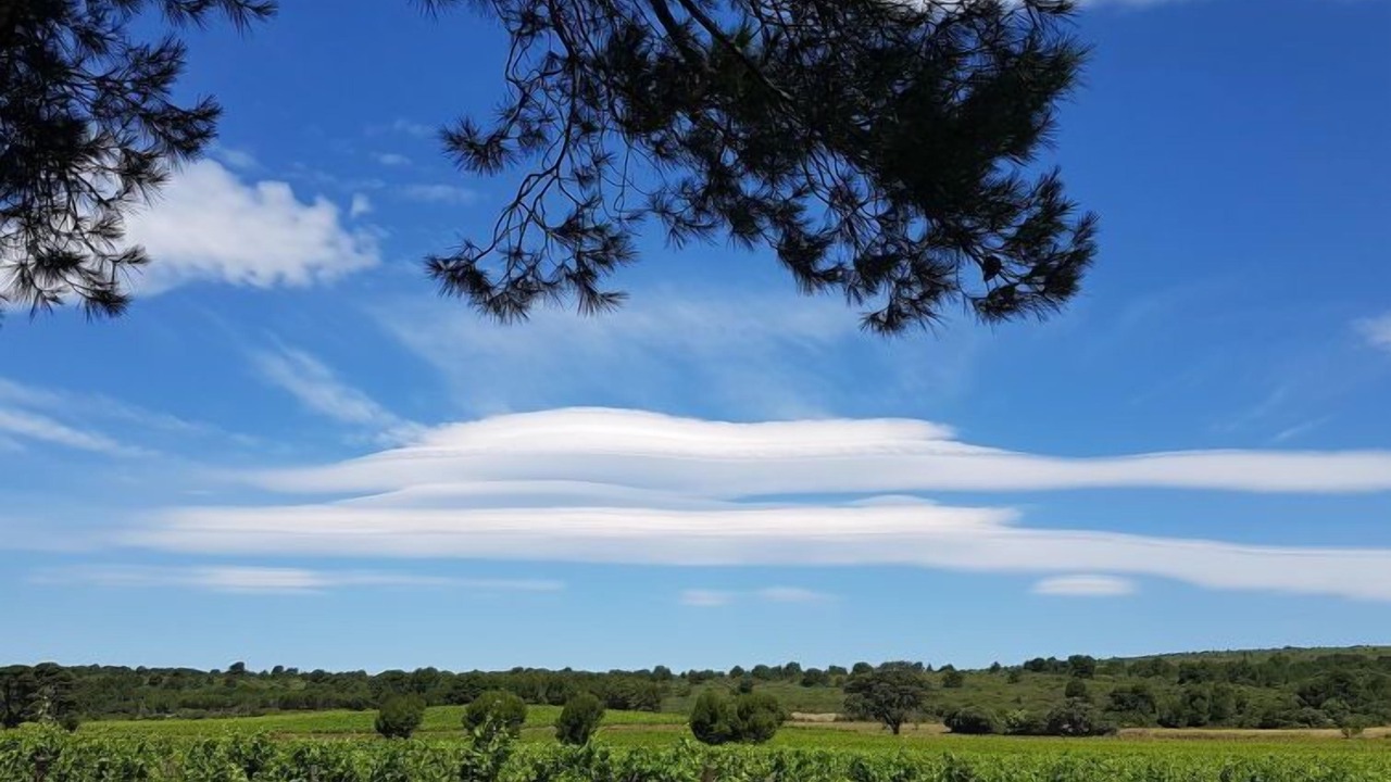 Photo of Others in Narbonne-Plage