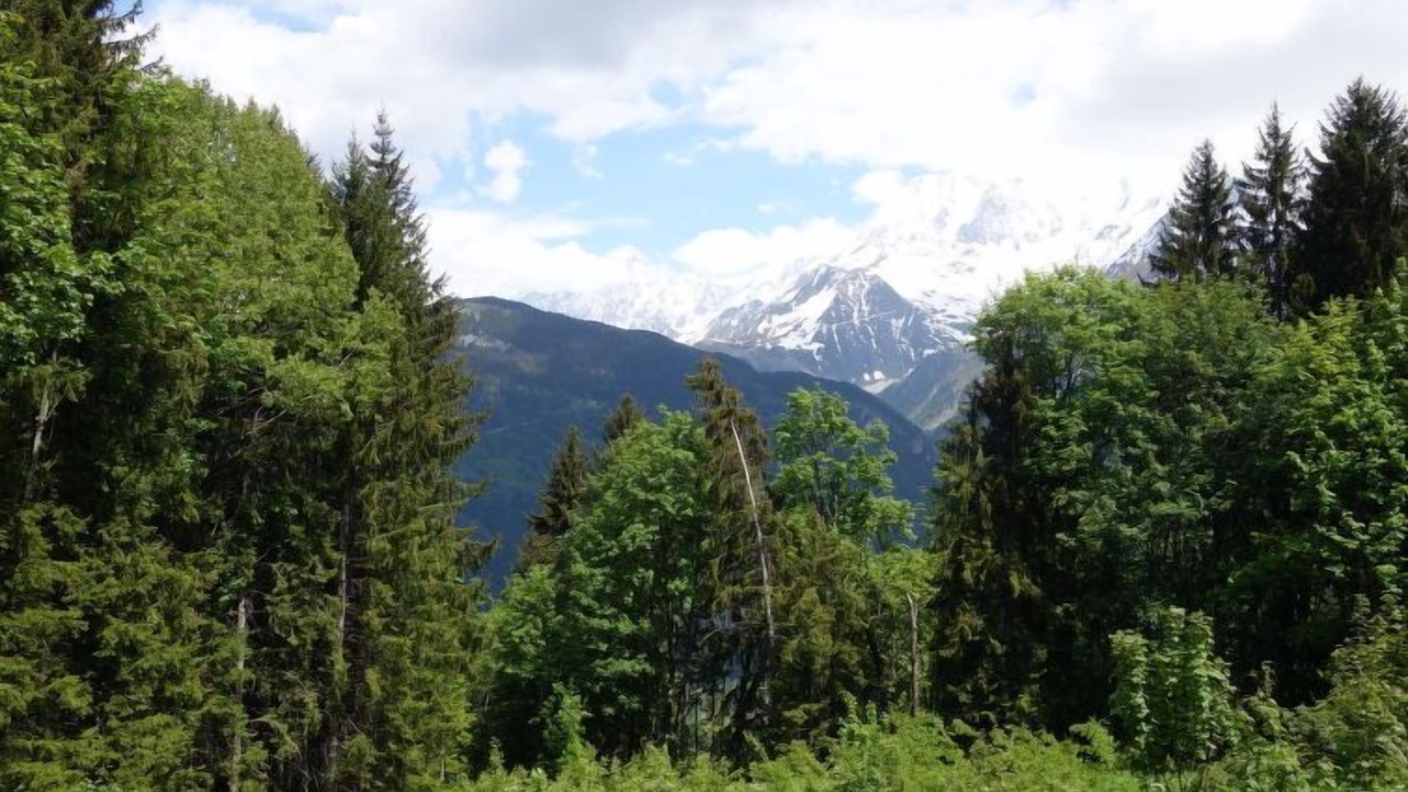 Photo of Others in Saint-Gervais-les-Bains