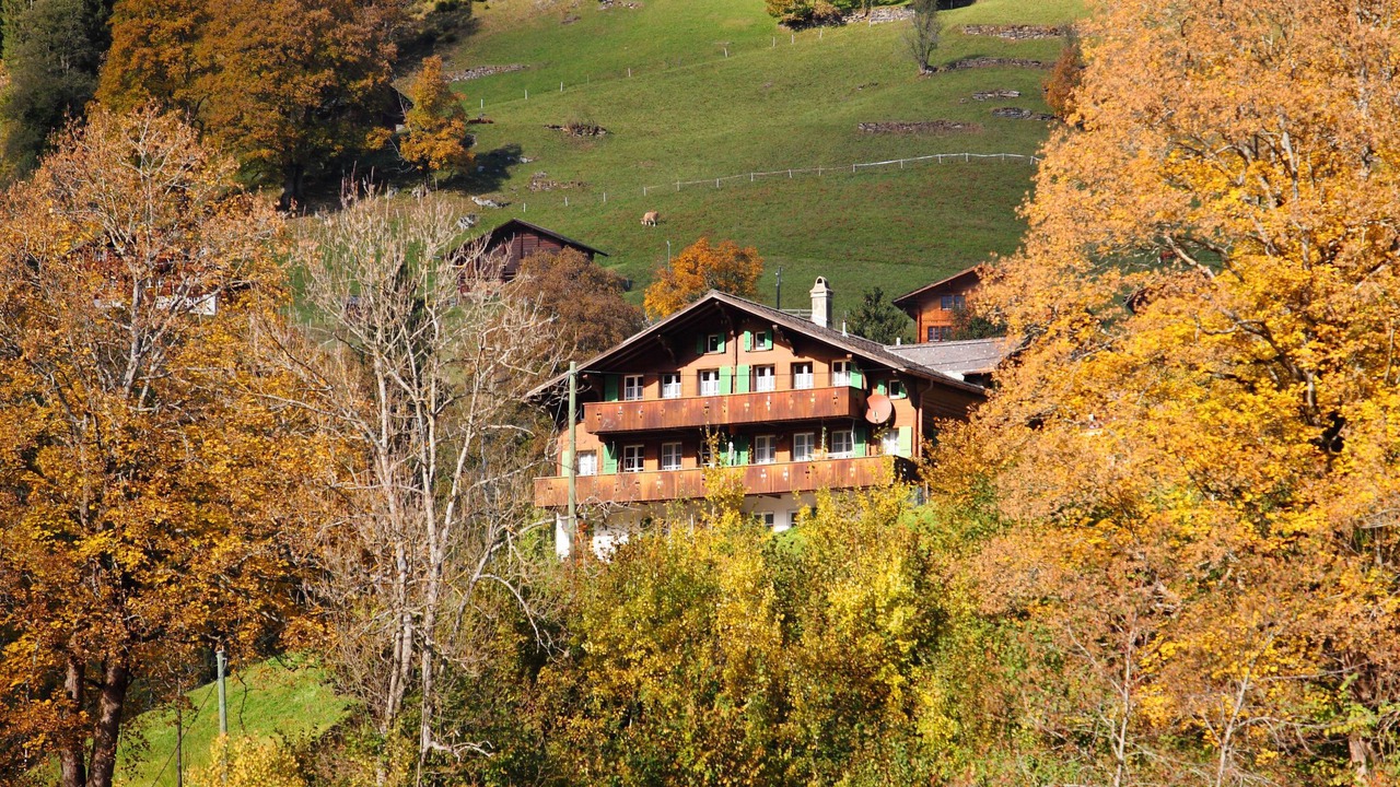 Photo of Outdoor in Grindelwald