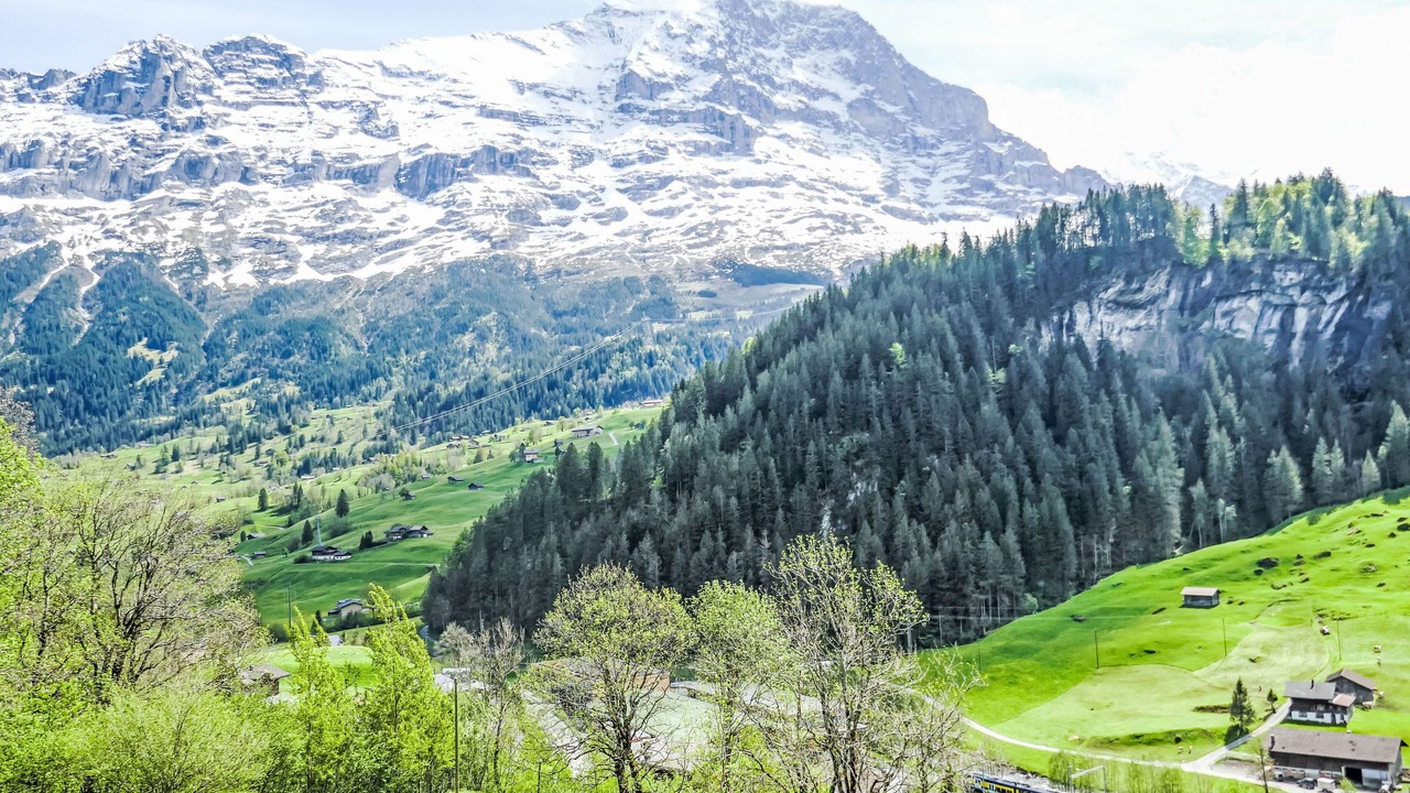 Photo of Others in Grindelwald