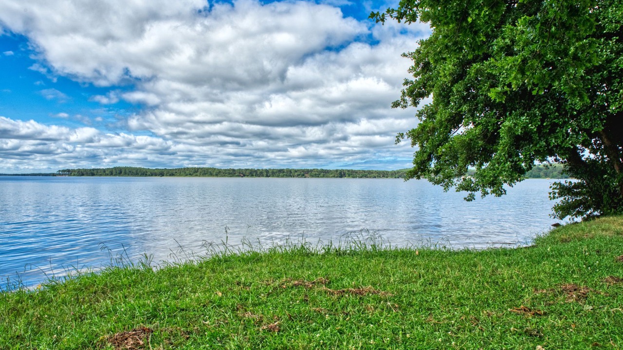 Photo of Others in Lacanau