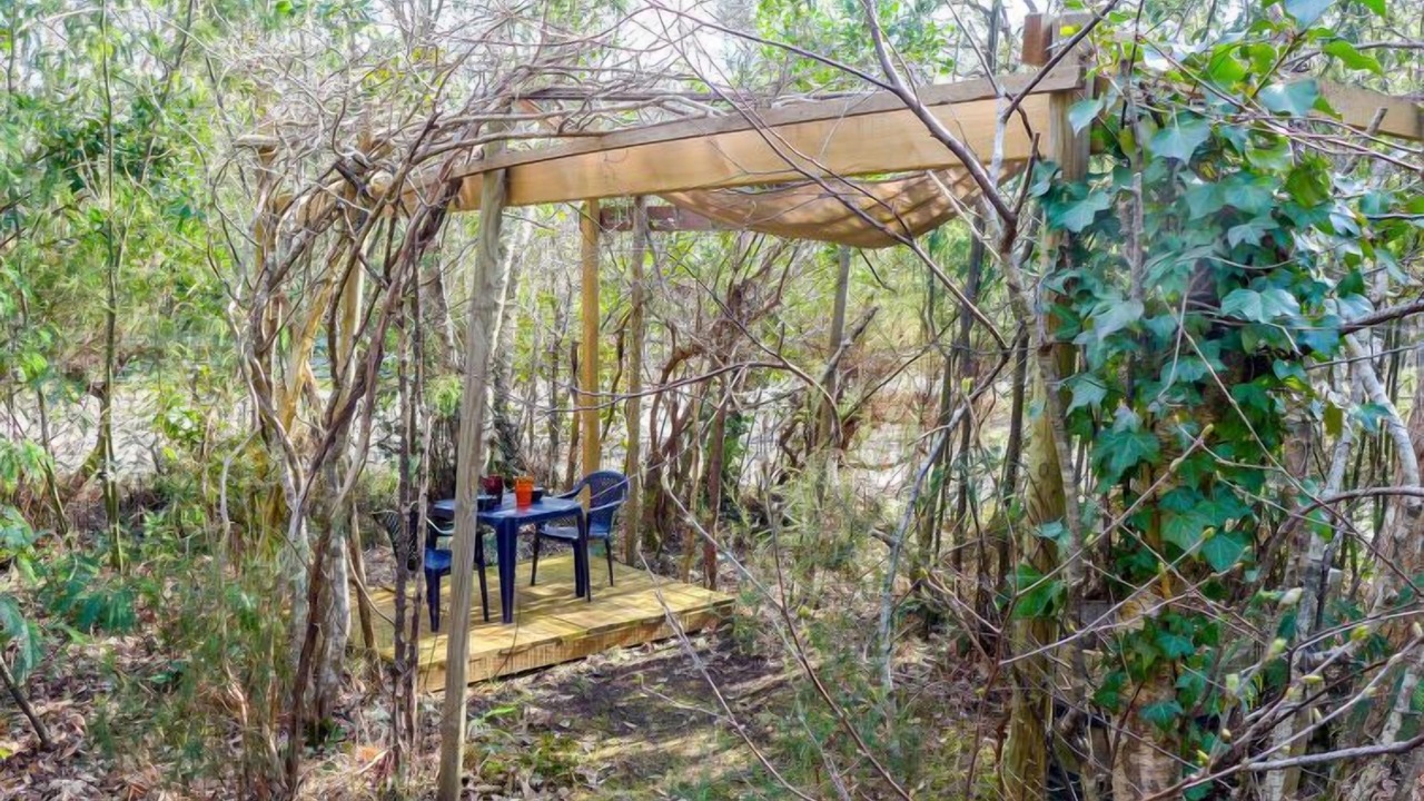 Photo of Others in Lacanau