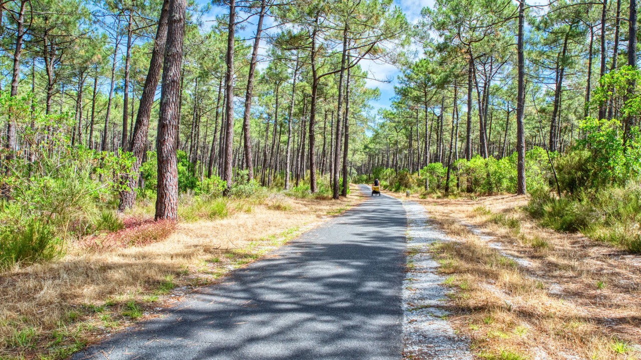 Photo of Others in Lacanau