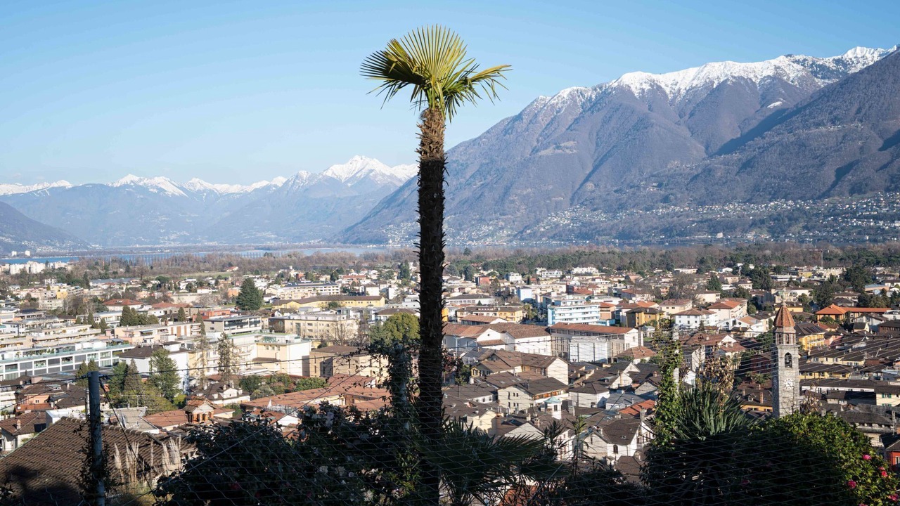 Photo of Others in Ascona