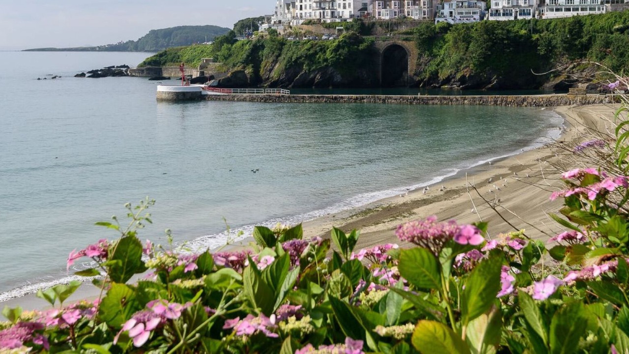 Photo of Others in West Looe