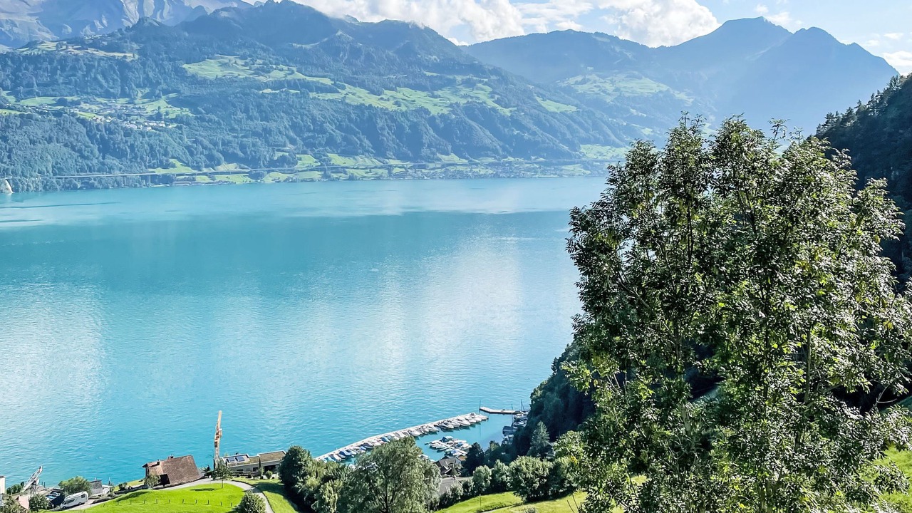 Photo of Others in Gersau