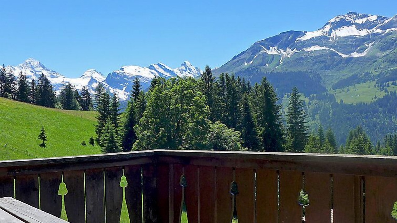 Photo of Others in Wengen