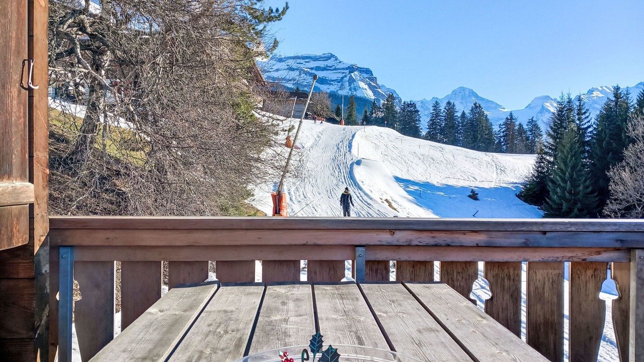 Photo of Others in Wengen
