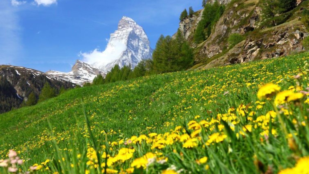 Photo of Others in Zermatt