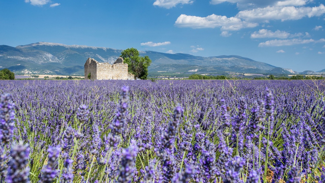 Photo of Outdoor in Sauzet