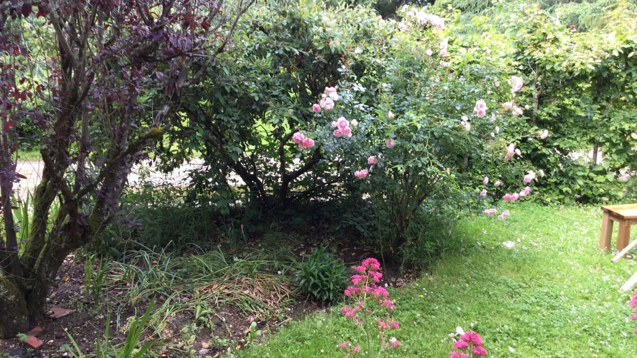 Photo of Outdoor in Souvigny-de-Touraine