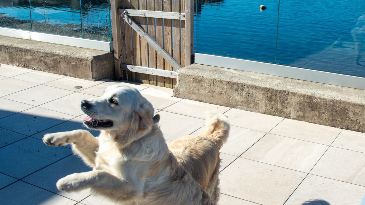 Photo of Outdoor in Kentallen