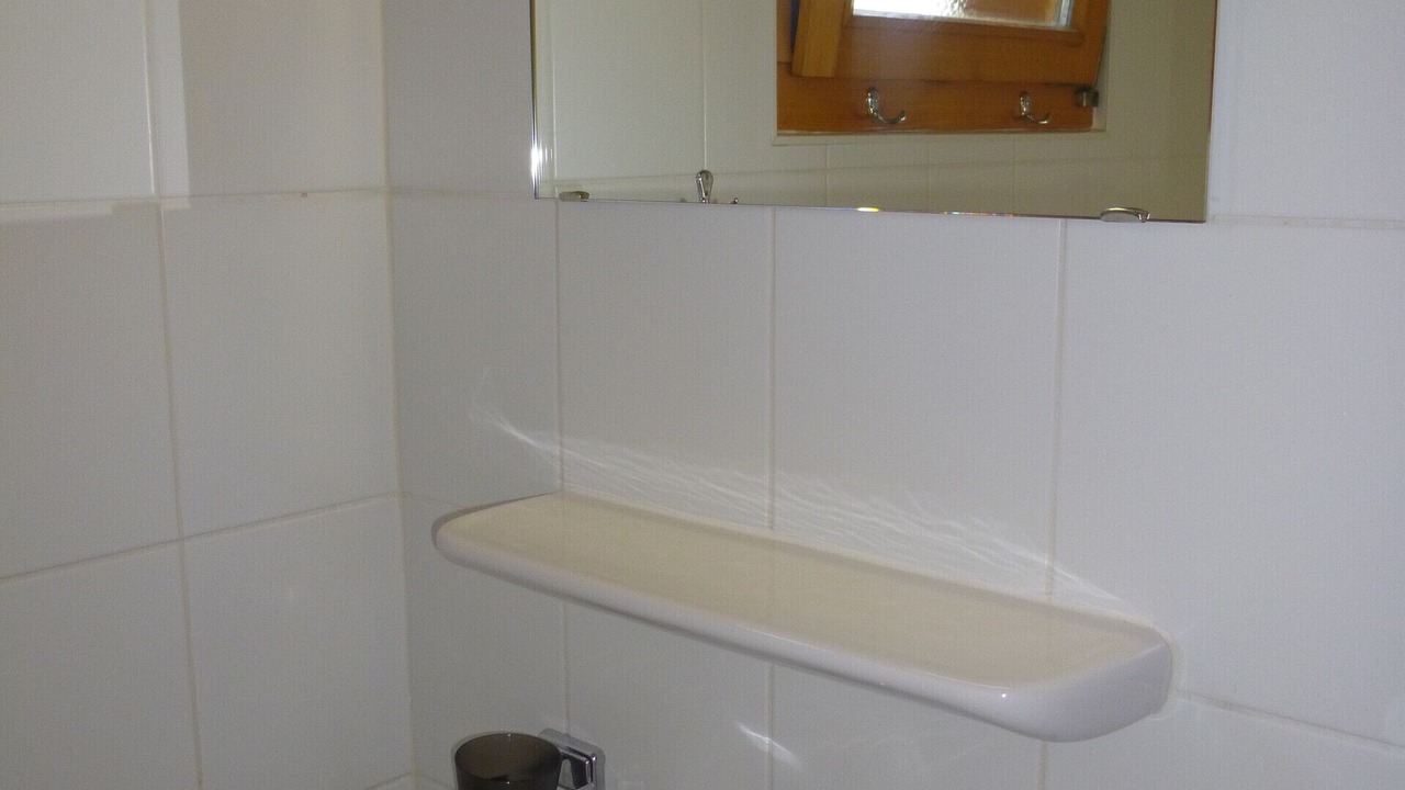 Photo of Bathroom in Salins