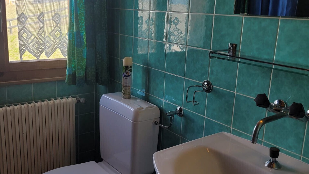 Photo of Bathroom in Veysonnaz