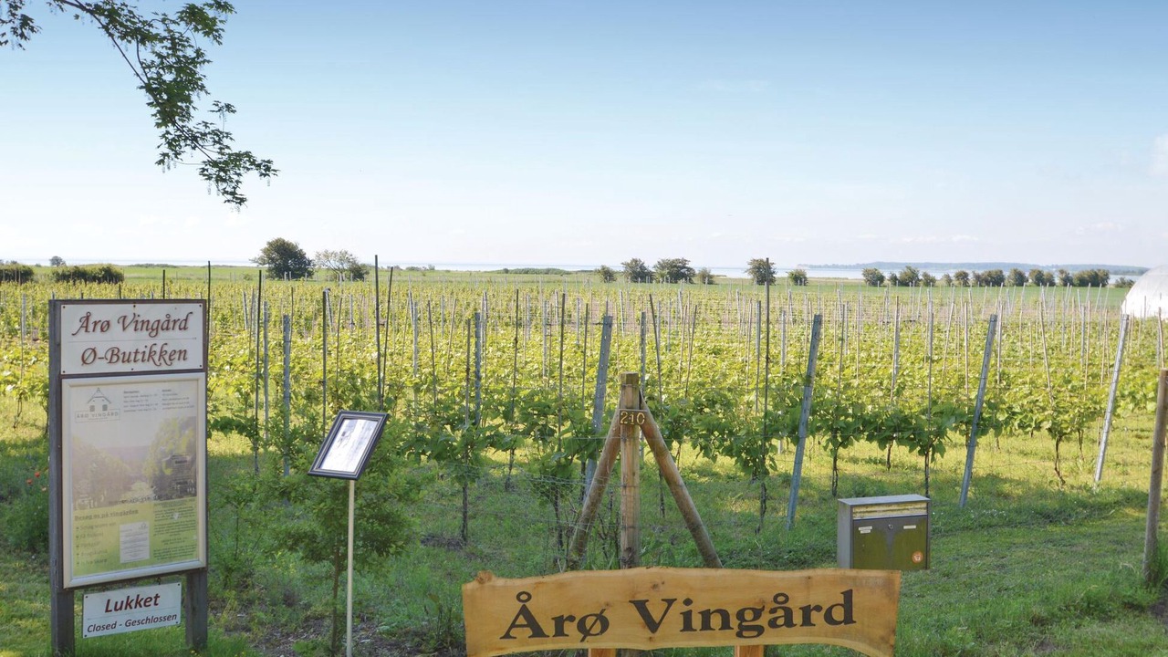 Photo of Others in Arø