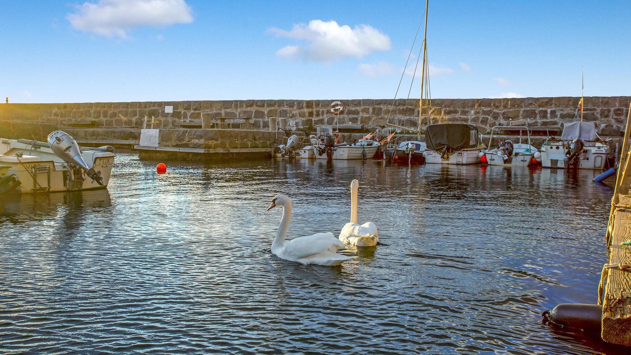 Photo of Others in Vang