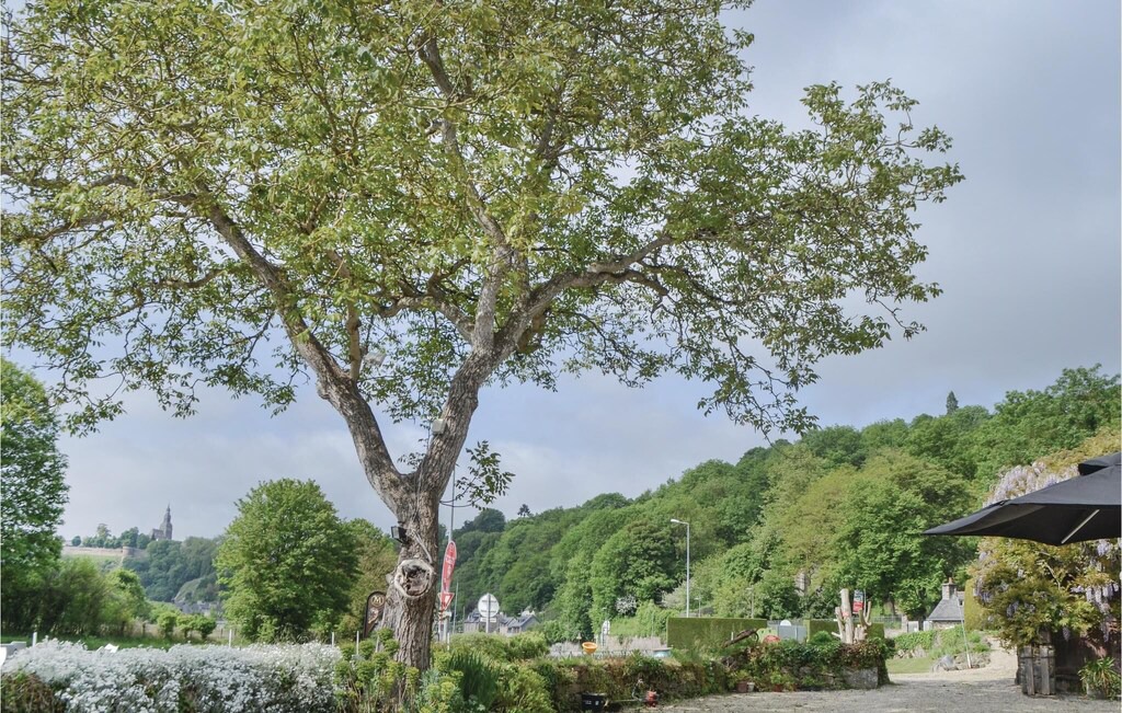 Photo of Outdoor in Taden