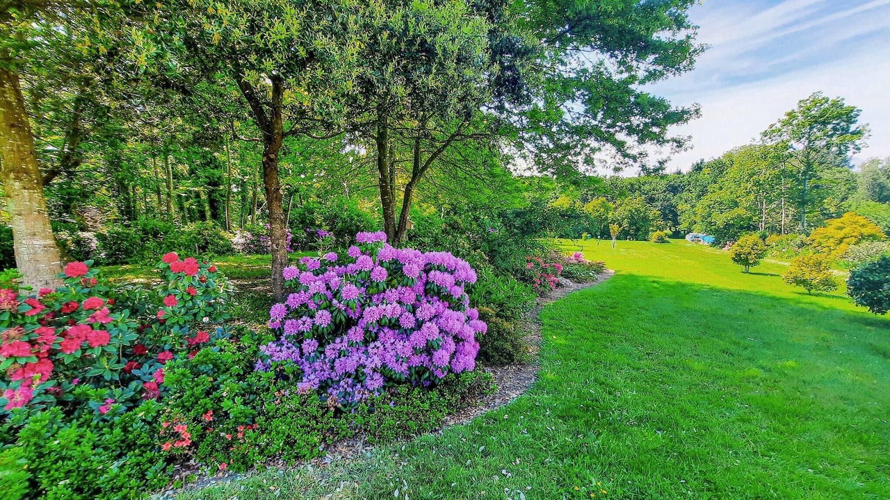 Photo of Others in Tregunc