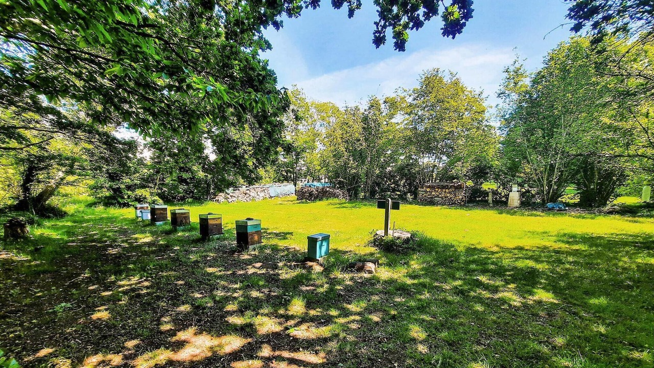 Photo of Others in Tregunc