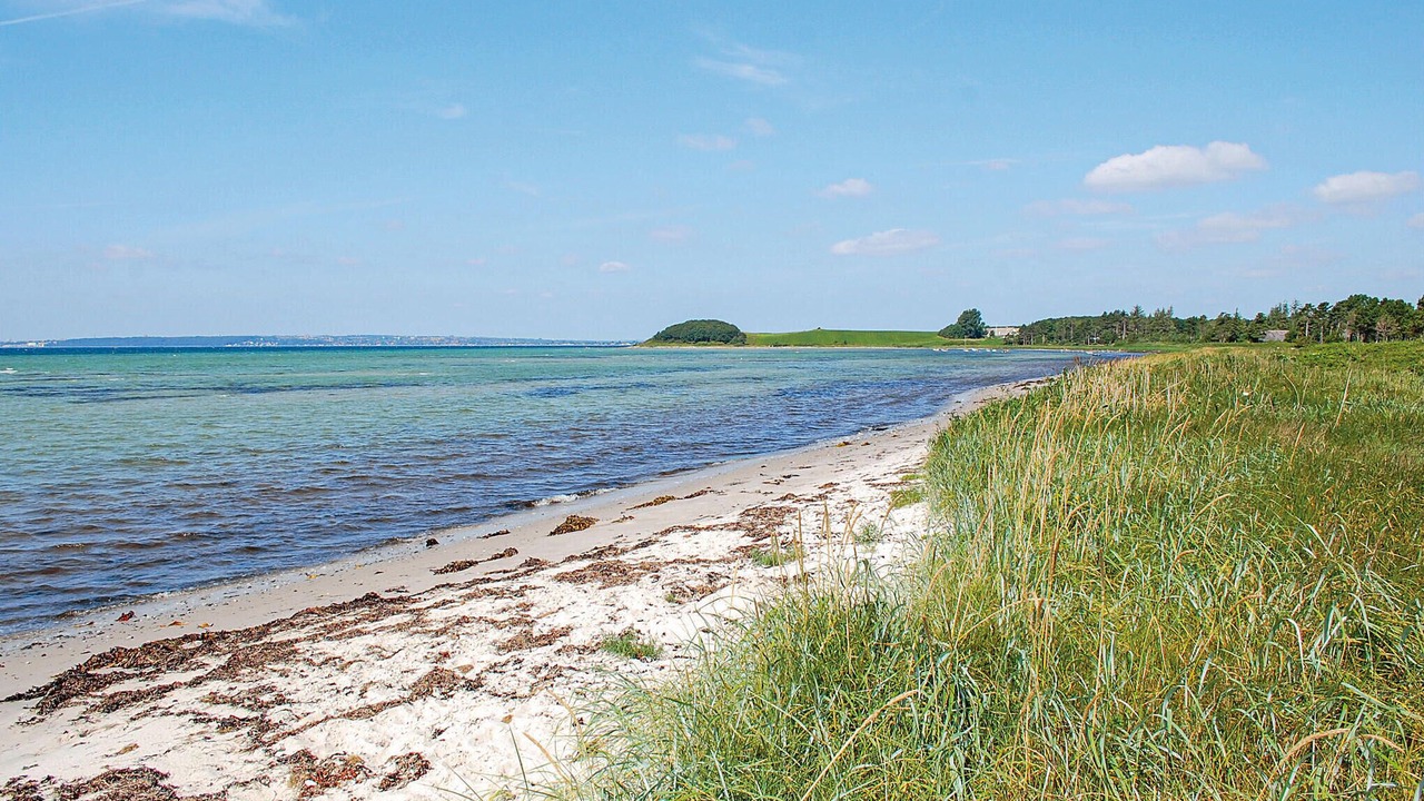 Photo of Others in Skødshoved Strand