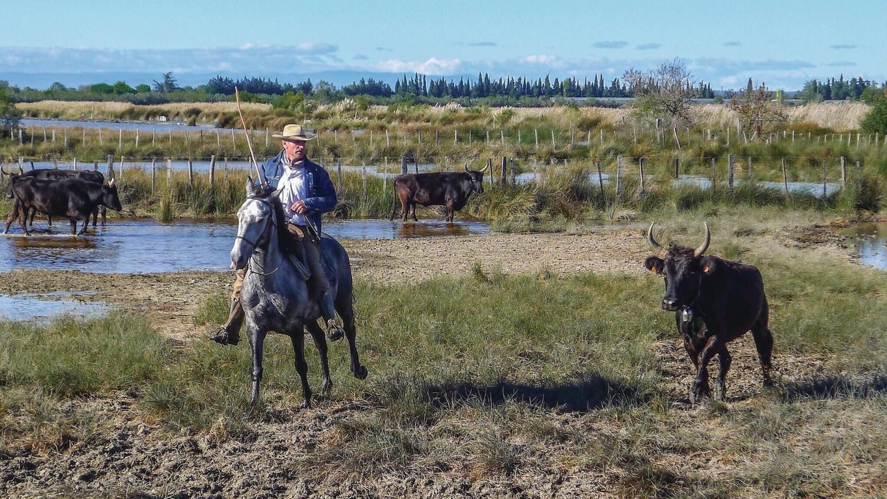 Photo of Others in Aubais