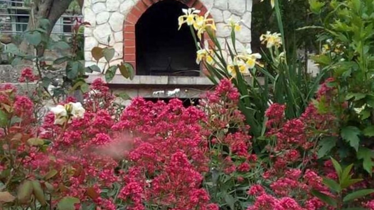 Photo of Outdoor in Dubrava