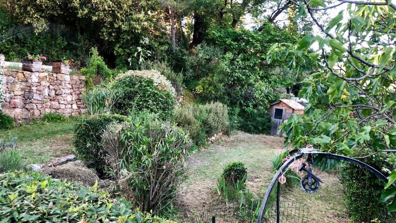 Photo of Outdoor in Taradeau