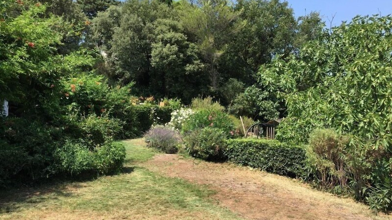 Photo of Outdoor in Taradeau