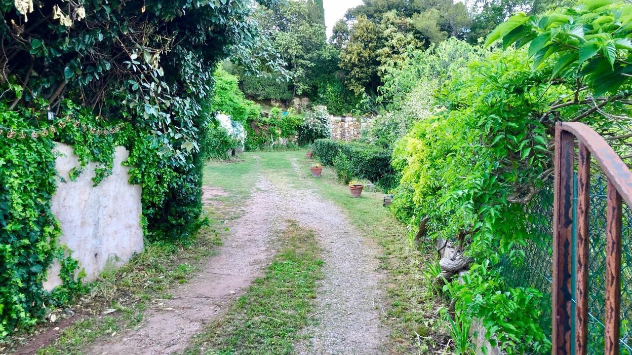 Photo of Outdoor in Taradeau