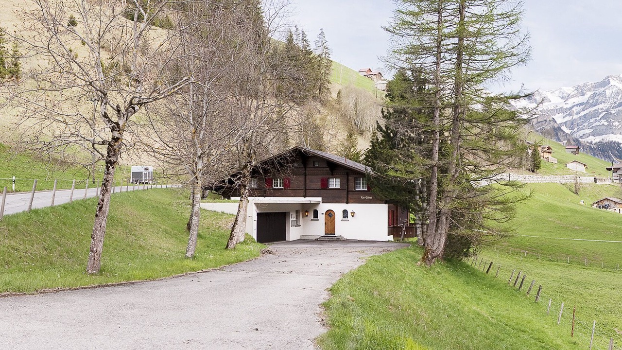 Photo of Outdoor in Lauenen