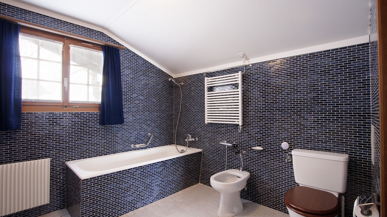 Photo of Bathroom in Lauenen