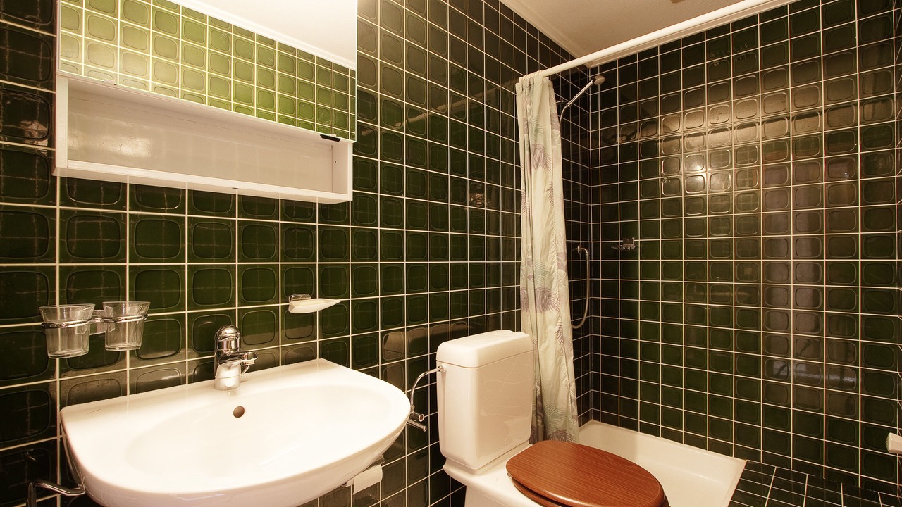 Photo of Bathroom in Lauenen