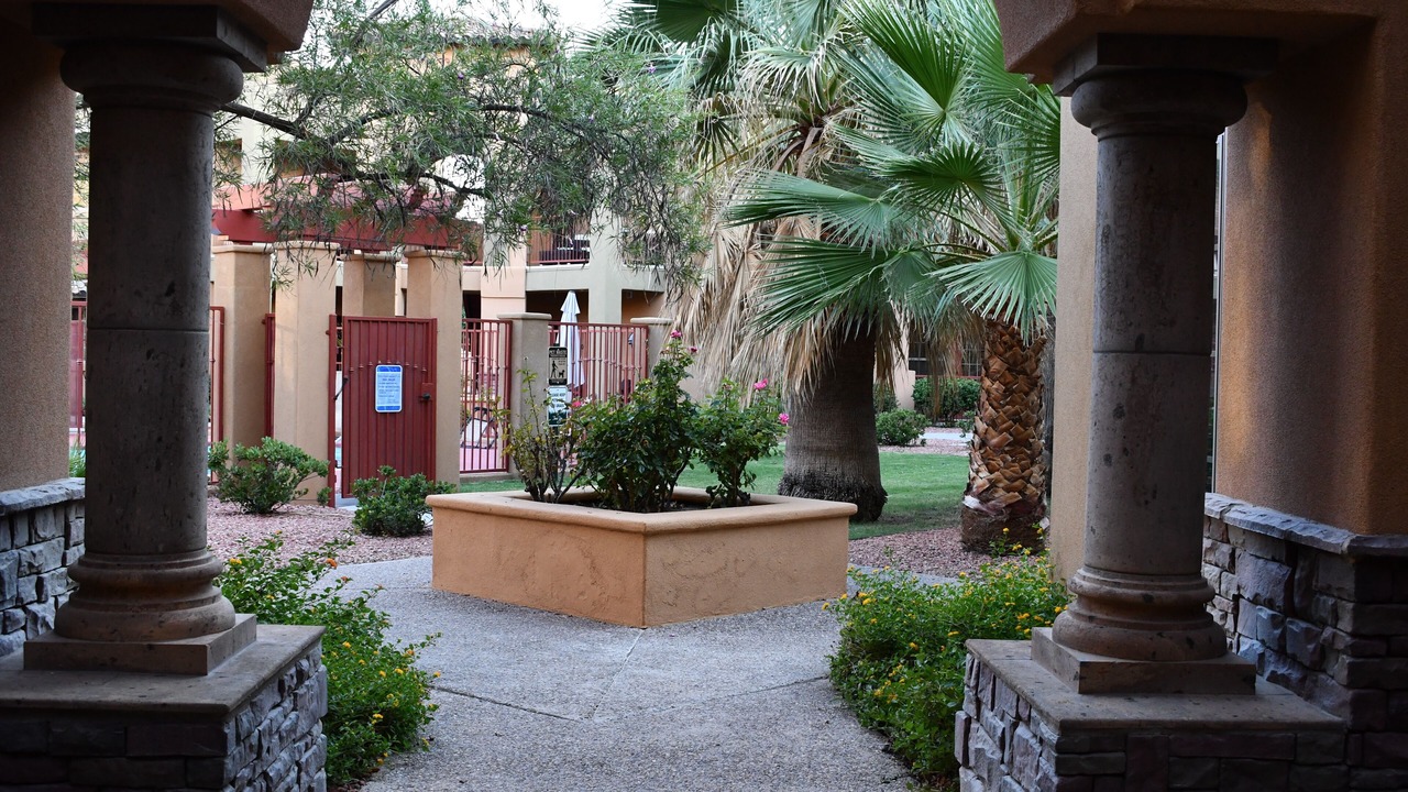Photo of Others in Mesilla