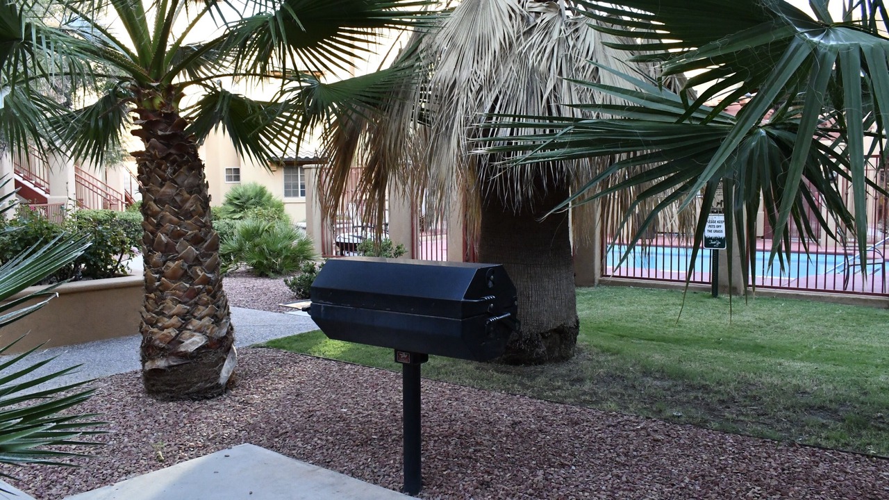 Photo of Outdoor in Mesilla