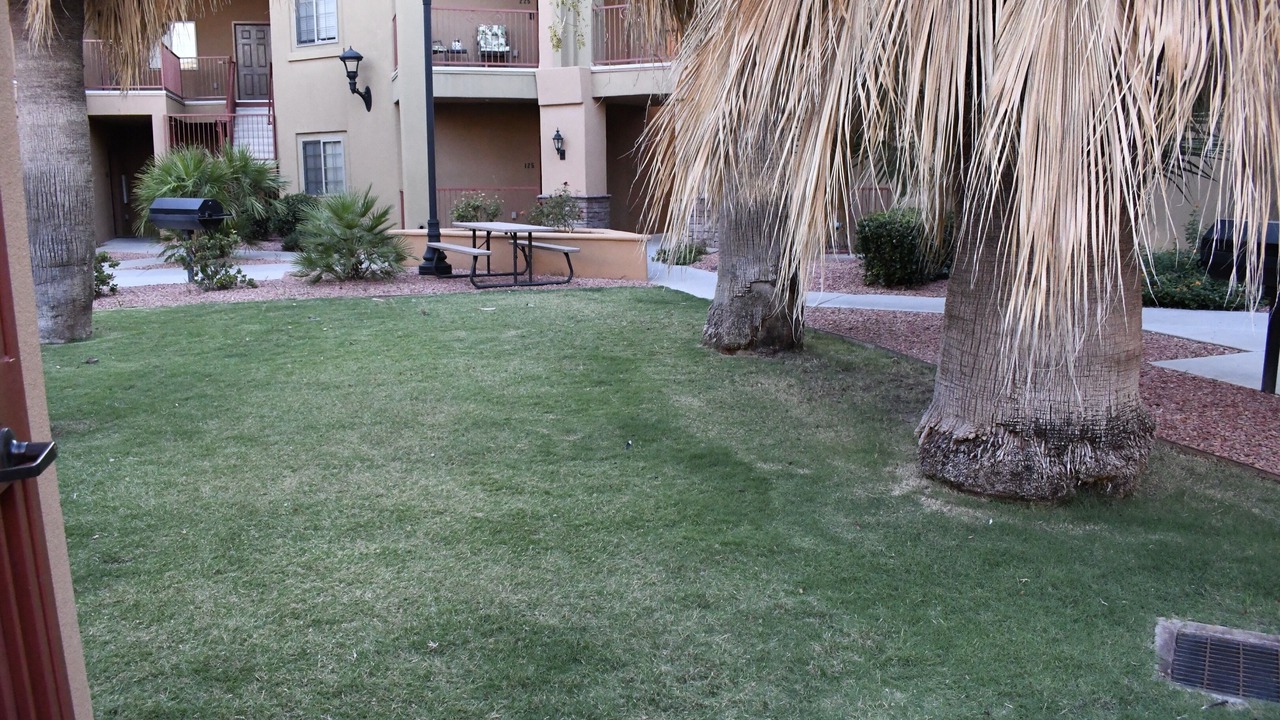 Photo of Outdoor in Mesilla