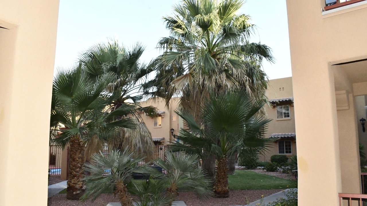 Photo of Outdoor in Mesilla