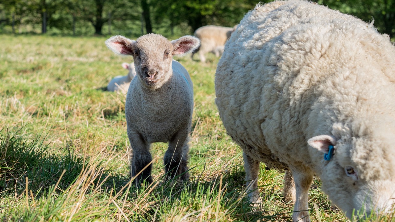 Photo of Others in Bilting