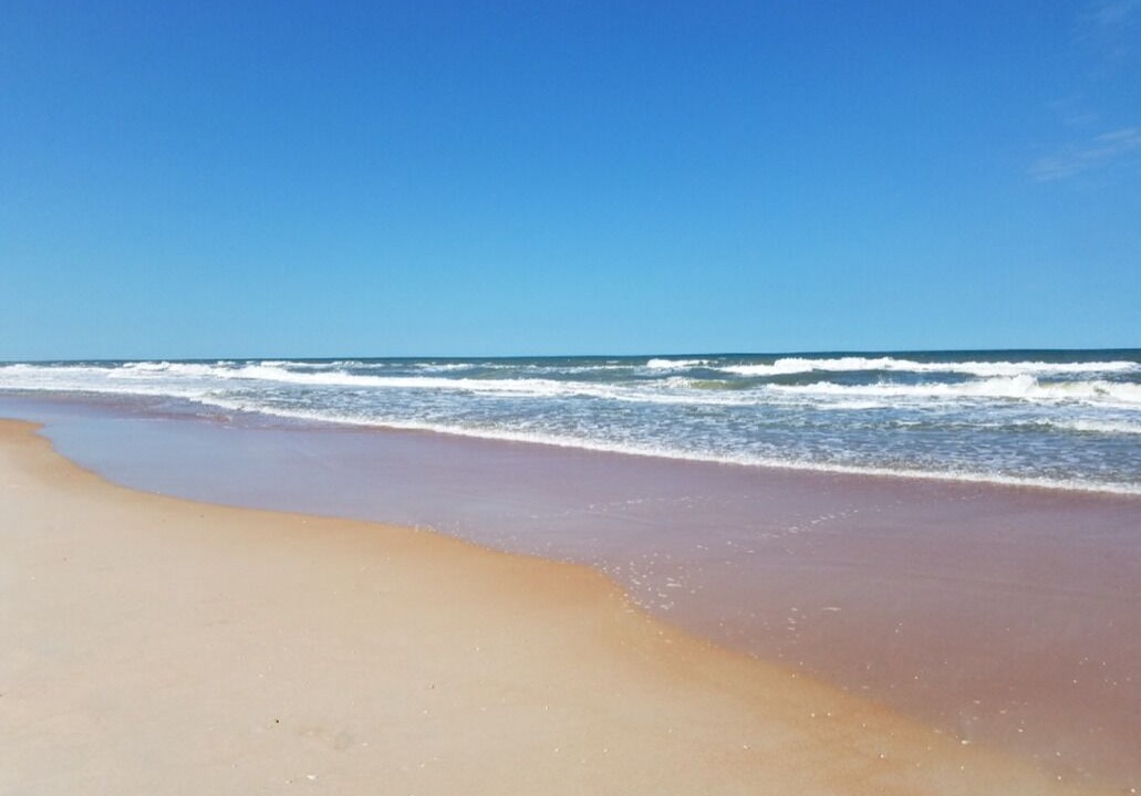 Photo of Others in Ormond-by-the-Sea