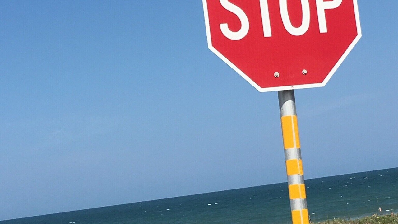 Photo of Others in Ormond-by-the-Sea