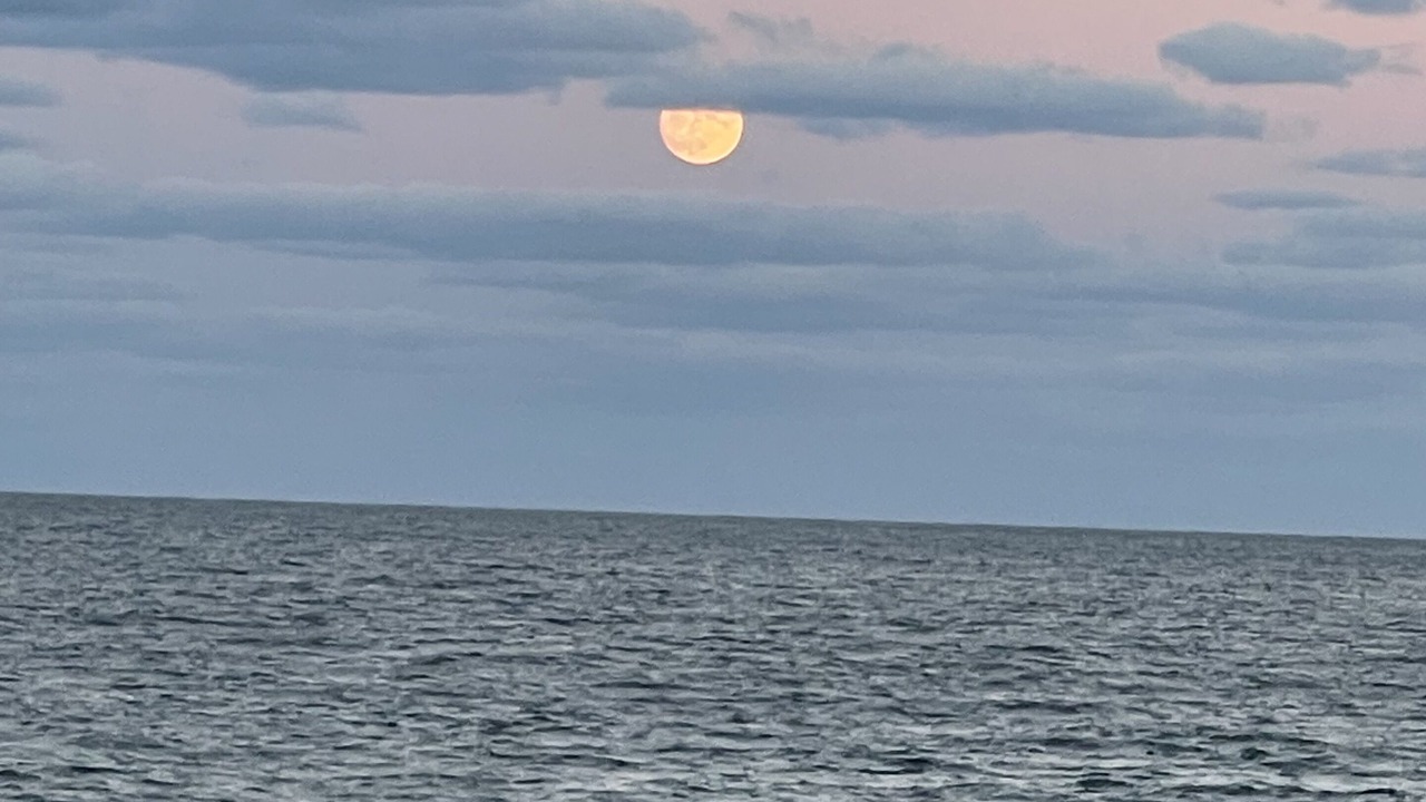 Photo of Others in Ormond-by-the-Sea